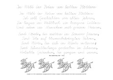 Im Wald der Boden-Dauthendey-VA.pdf